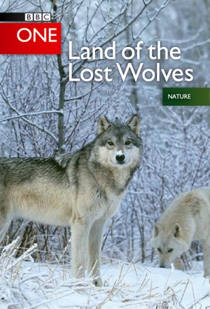 Land of the Lost Wolves