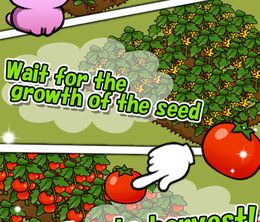 image-https://media.senscritique.com/media/000016285943/0/Forest_Life_Happy_Garden.jpg