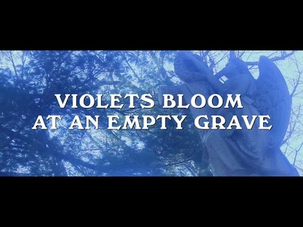 Violets bloom at an empty grave