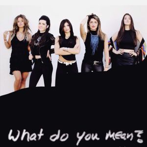 What Do You Mean (Single)