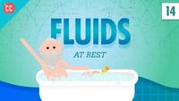 Fluids at Rest