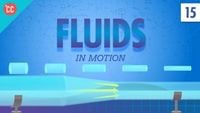 Fluids in Motion