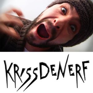 KrisSdeNerf