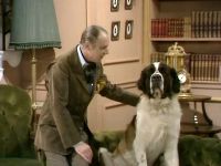 One Dog And His Man