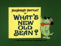 Magnificent Muttley - What's New, Old Bean?