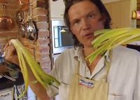 Nässelsoppa, Klassiskt dillkött