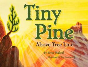 Tiny Pine Above Tree Line