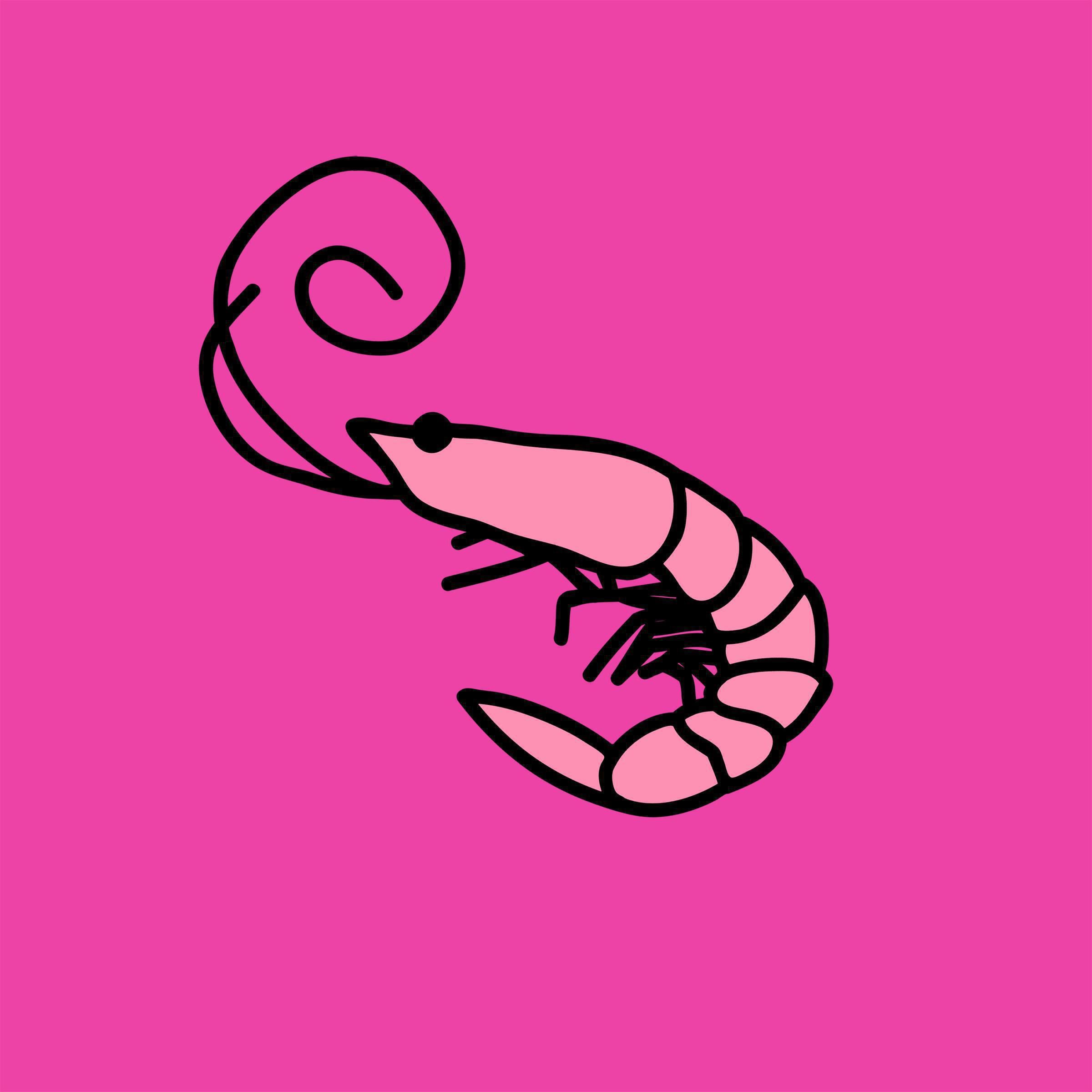 Песня kero kero bonito. Kero Kero bonito Flamingo. Креветка. Аватар креветка. Креветки на розовом фоне.