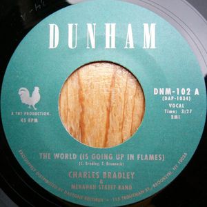 The World (Is Going Up in Flames) (Single)