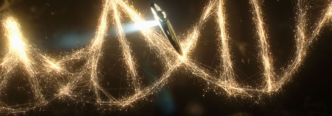 Cover Voyage of Time - Au fil de la vie