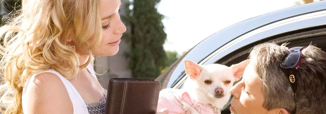 Cover Le Chihuahua de Beverly Hills