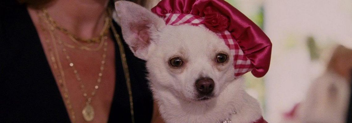 Cover Le Chihuahua de Beverly Hills