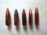 Bullet Dynamics