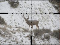 Effective Reticles and Objective Lens Sizes