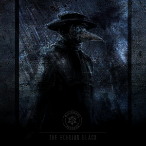 The Echoing Black