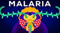 Genetic Engineering and Diseases - Gene Drive & Malaria