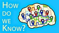 Which Parts Of The Brain Do What?
