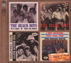 Music Ages, Volume 7: The Beach Boys
