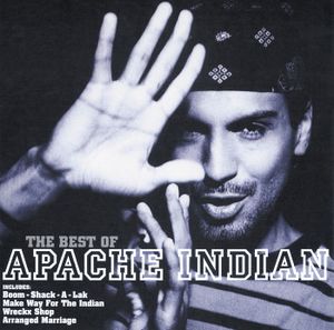 The Best of Apache Indian