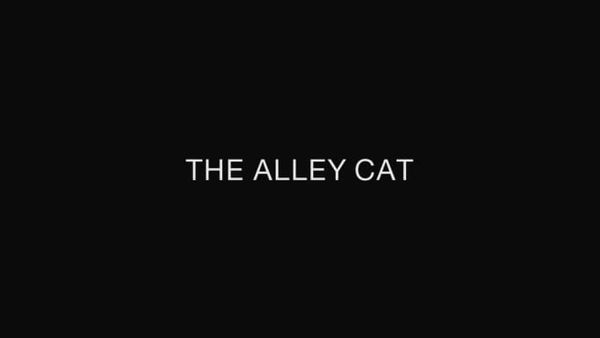 The Alley Cat