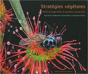Stratégies végétales, petits arrangements et grandes manœuvres