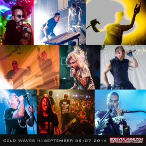 Cold Waves Live Album Sampler II (Live)