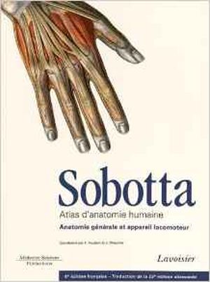 Sobotta : Anatomie Générale et Appareil Locomoteur