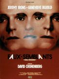 Affiche Faux-semblants Affiche Faux-semblants