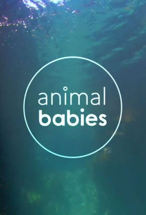 Animal Babies