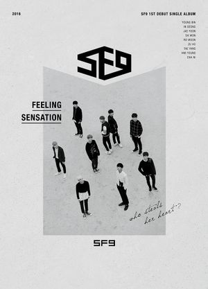 Feeling Sensation (Single)