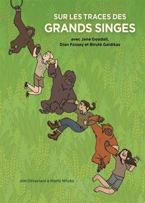 Sur les traces des grands singes