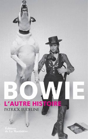 Bowie - L'autre histoire