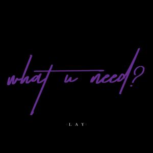 what U need? (你要什么)