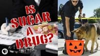 Is Sugar a Drug?