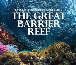 image-https://media.senscritique.com/media/000016432992/0/great_barrier_reef_with_david_attenborough.jpg