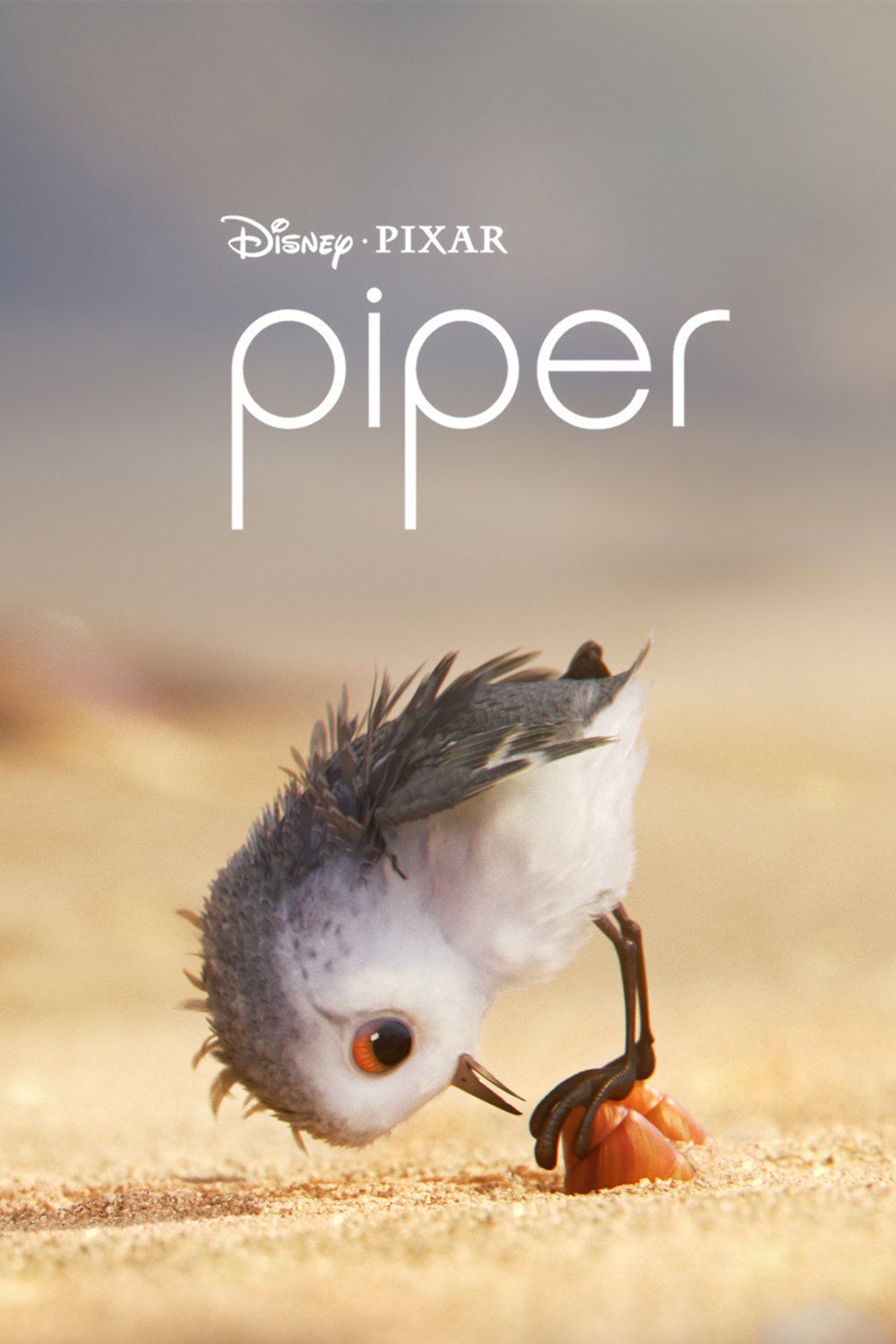 Piper.jpg (1000×1500)