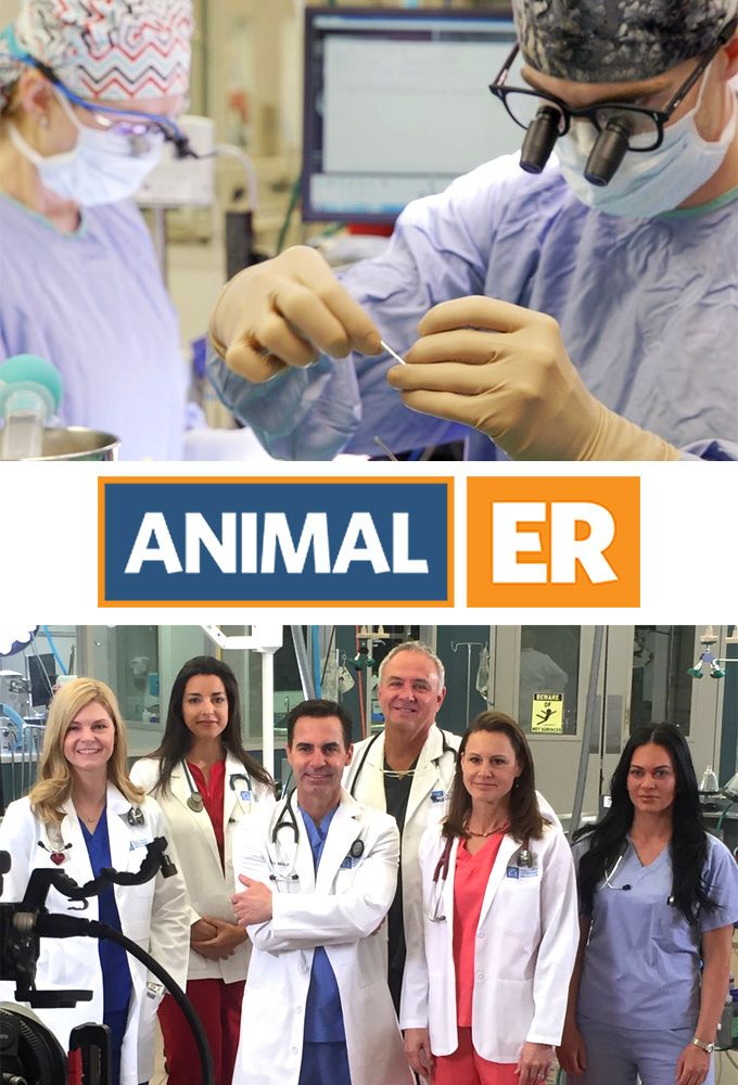 animal er