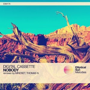 Nobody (Thomas N remix)