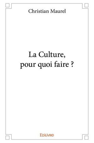 La culture, pour quoi faire ?