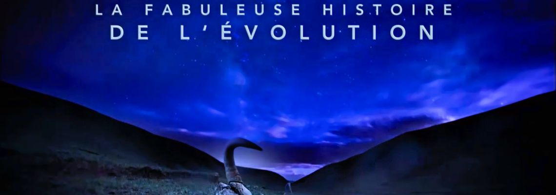 Cover La fabuleuse histoire de l‘évolution