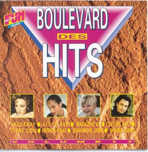 Boulevard des hits, volume 17