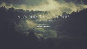 A Journey Through Pines