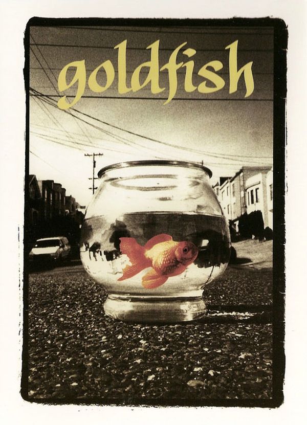 Goldfish