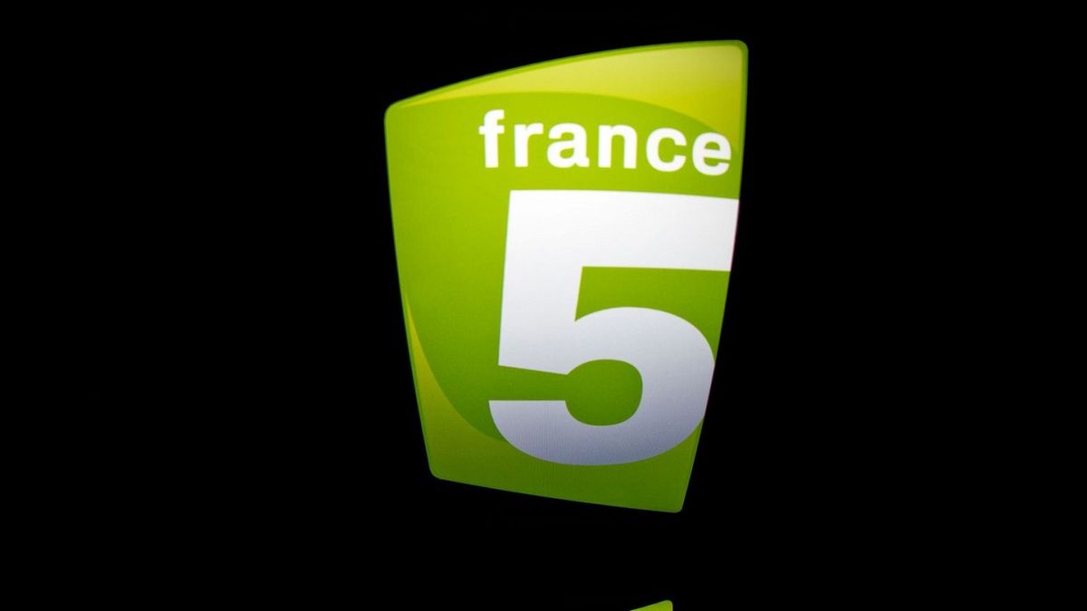 5 франций. France 5. Канал France 5. France 5 logo. France 5 Телеканалы Франции.