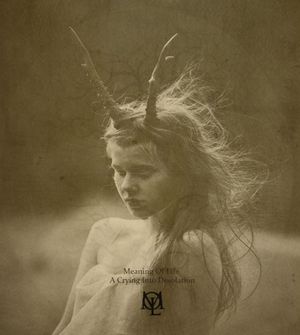 A Crying Into Desolation