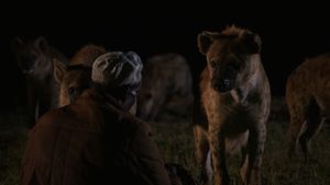 Les Hyènes de Harar