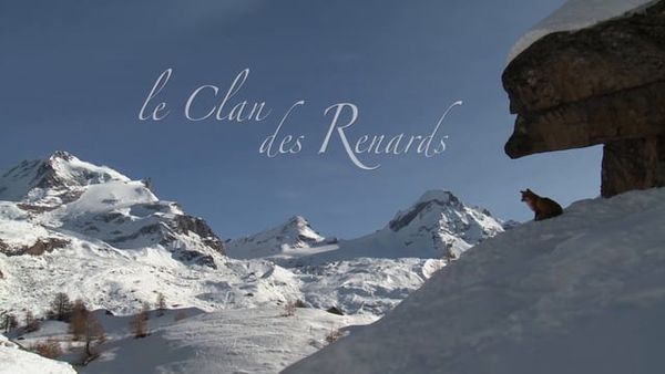 Le Clan des renards