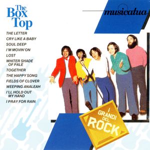 The Box Tops - I grandi del rock