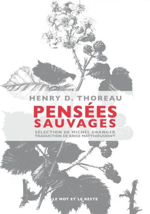 Pensées sauvages