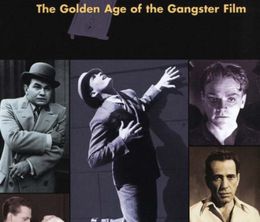 image-https://media.senscritique.com/media/000016506861/0/public_enemies_the_golden_age_of_the_gangster_film.jpg